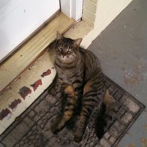 Meet your Posher, Janet